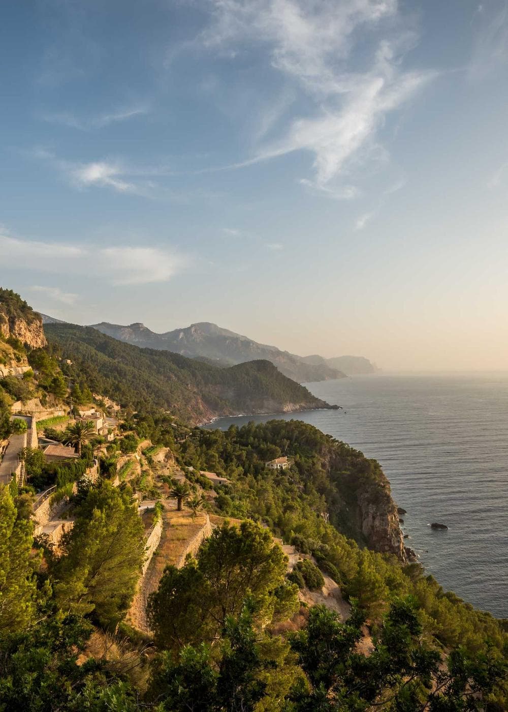 Green sea cliffs dropping into the ocean at golden hour
