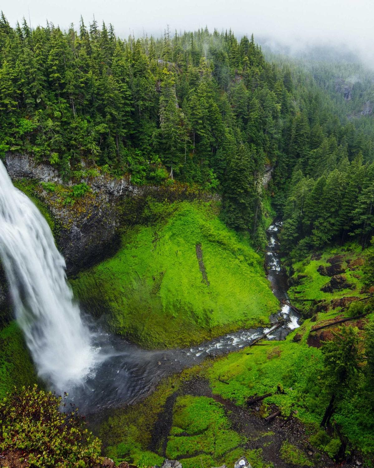 A waterfall running through a mossy forest gorge